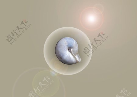 蜗牛壳设计