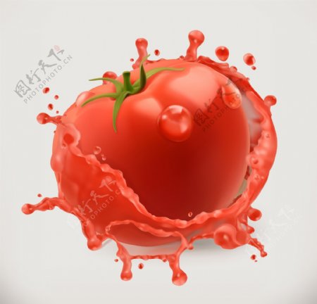 鲜红的番茄和飞溅的果汁矢量素材