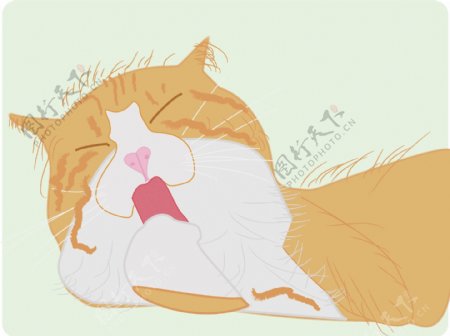 侧卧洗澡的橘猫插画