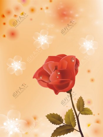 梦幻手绘玫瑰花朵漂亮移门图