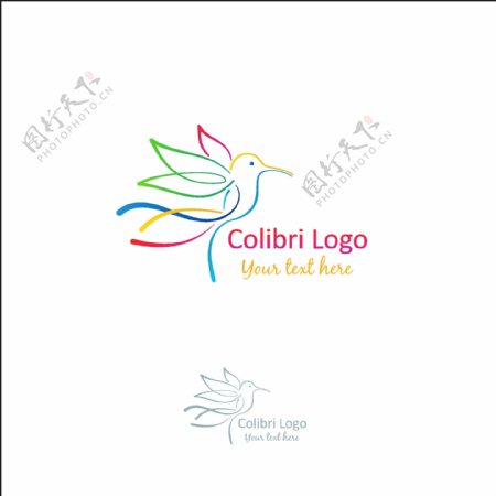彩色小鸟logo