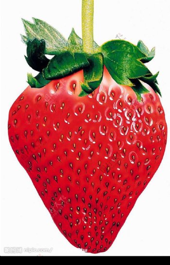 手繪草莓