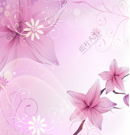 粉色玉兰花朵移门装饰画