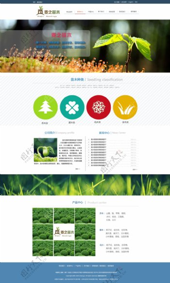 绿色植物页面设计
