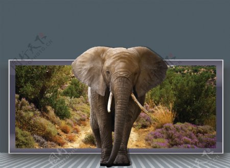 3D大象热带雨林背景墙