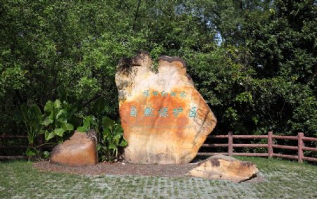 深圳红树林保护区石碑