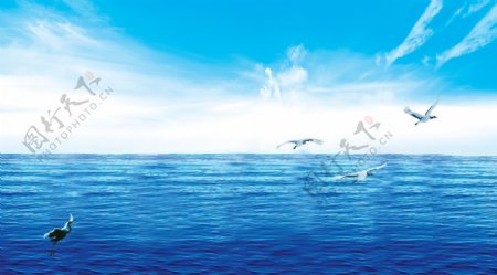 海洋水背景banner图片素材
