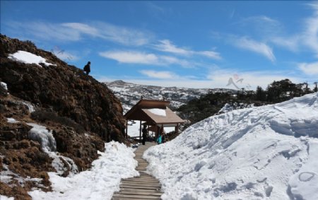 轿子雪山