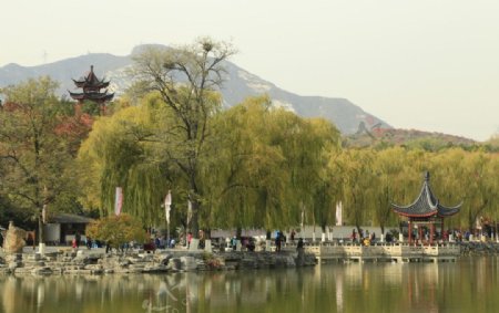 北宫彩叶风景