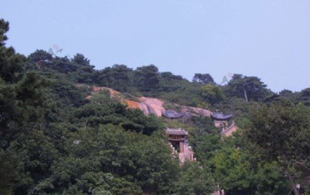 山中寺庙