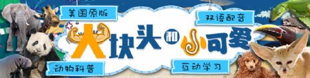 动物科普宣传卡通banner