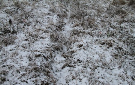 极边瑞雪皑皑