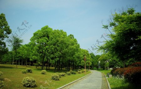 杭州市富阳区东吴公园风景