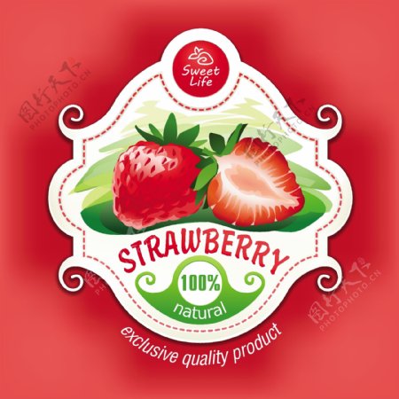 向量的草莓叶插图