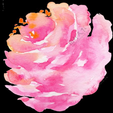盛开粉色花卉卡通透明素材