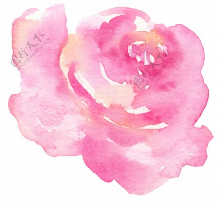 艳丽粉色花卉卡通透明素材