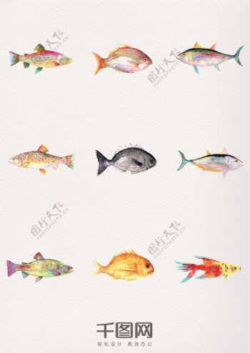 一组水彩动物鱼设计素材