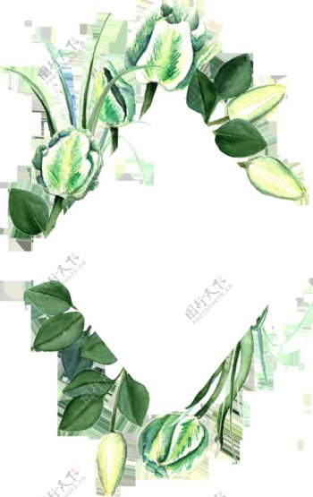 精美绿色手绘植物透明素材