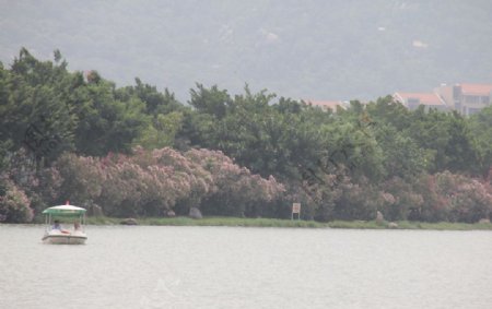 星湖花园全景