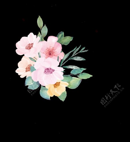 粉色水彩手绘植物花朵透明素材