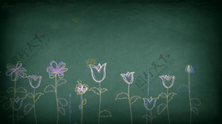 黑板卡通花朵循环动画视频素材