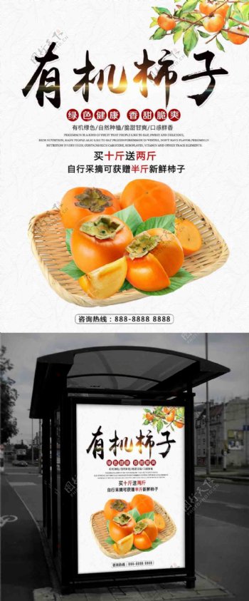 秋季水果新鲜有机柿子促销宣传海报