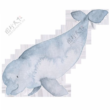 灰色手绘海豚卡通水彩素材