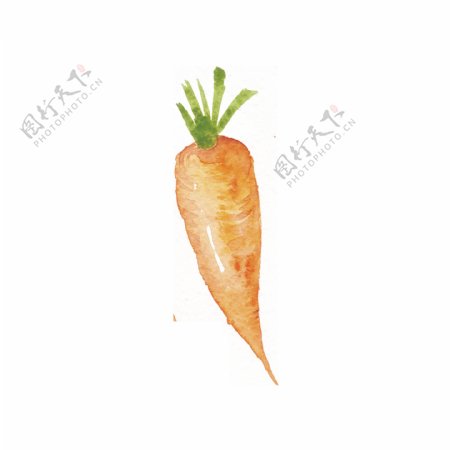 橙色手绘胡萝卜卡通蔬菜厨房透明素材