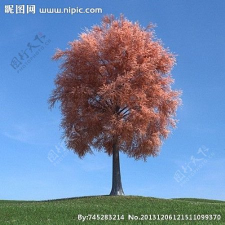 秋季树木模型红叶