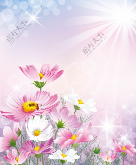 阳光普照下的花朵装饰画