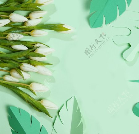 百合鲜花剪纸树叶创意背景素材