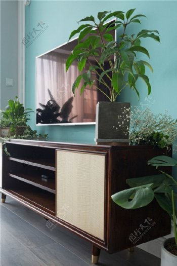 小美式客厅盆栽植物装修效果图