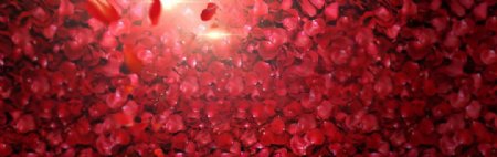 浪漫红色花瓣背景