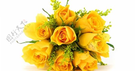 黄玫瑰花束
