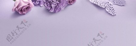 简约紫色玫瑰banner背景