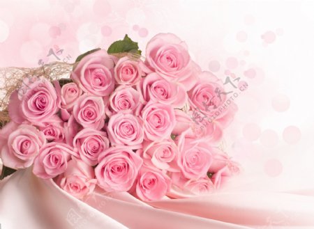 浪漫有爱玫瑰装饰画效果图