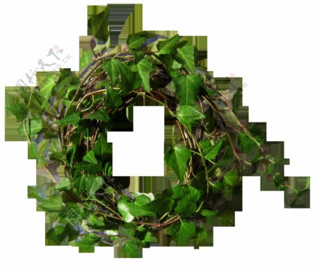 绿色树藤花环png元素素材