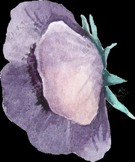 手绘紫色野花png透明素材
