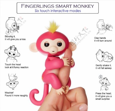 指尖猴海报