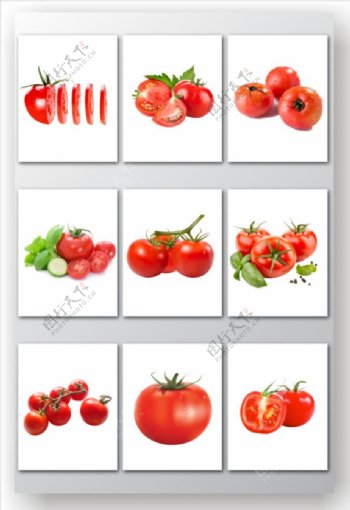 蔬菜西红柿矢量素材