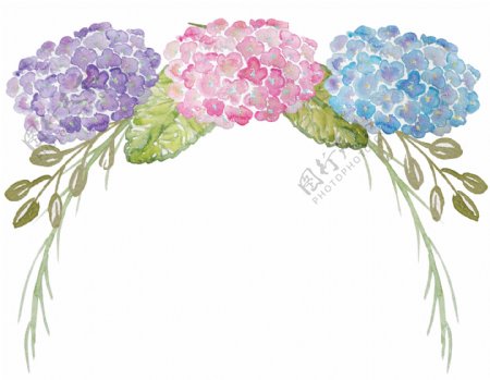 贺卡装饰花卉卡通透明素材
