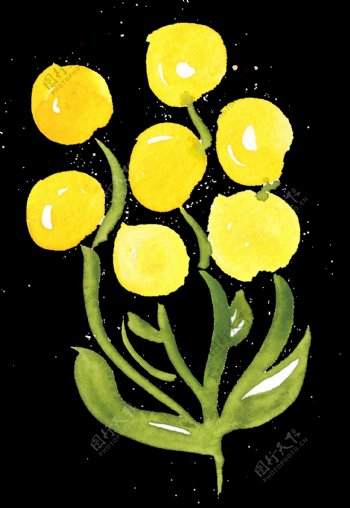 蛋黄果实树卡通透明素材