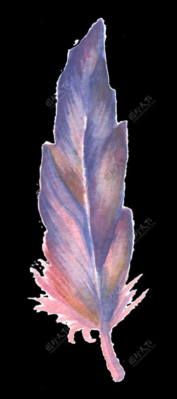 紫红羽毛卡通透明素材