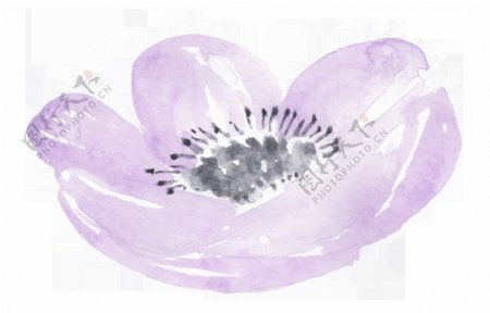 幽香紫色花卉卡通透明素材