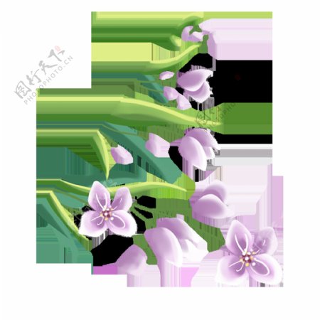 紫色花朵png元素素材