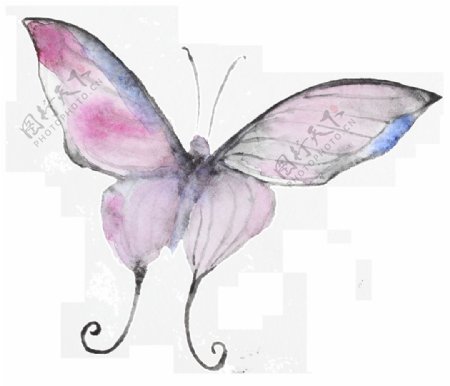 艺术蝴蝶卡通透明装饰素材
