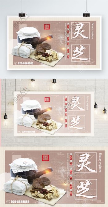 白色背景简约中国风健康灵芝宣传海报