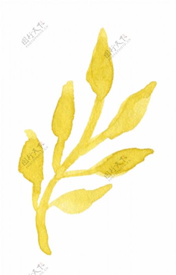 金色水彩植物卡通水彩透明素材