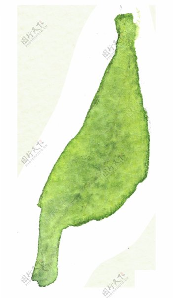 绿色卡通叶子透明素材