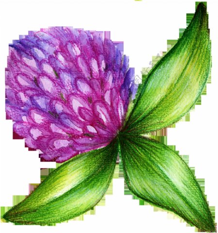 紫色果实植物卡通透明素材